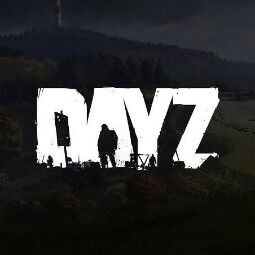 [steam] DayZ Edición Deluxe 0H Jugado | Puede cambiar datos | Entrega rápida 0